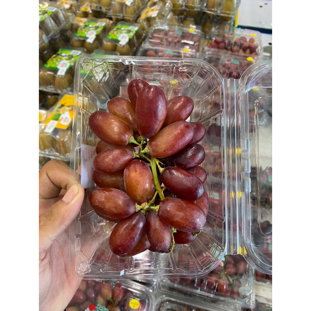 

Anggur long crimson super - Buah anggur crimson fresh 1 kg