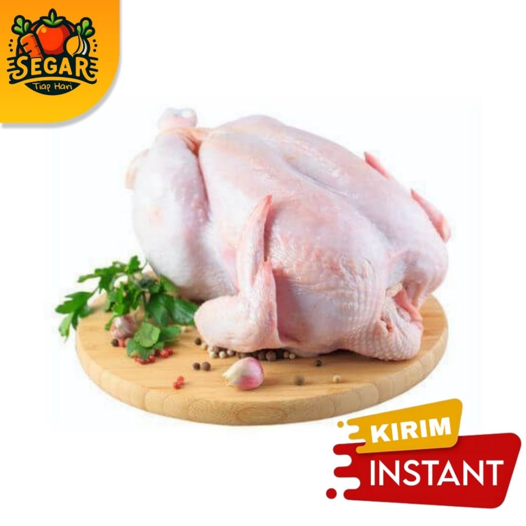 

SEGAR TIAP HARI | AYAM UTUH FRESH | AYAM NEGRI