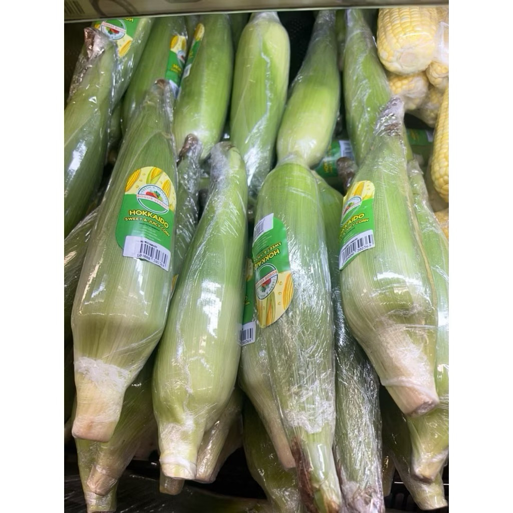 

Jagung Manis Hokkaido Premium | Super Sweet & Fresh 1pcs