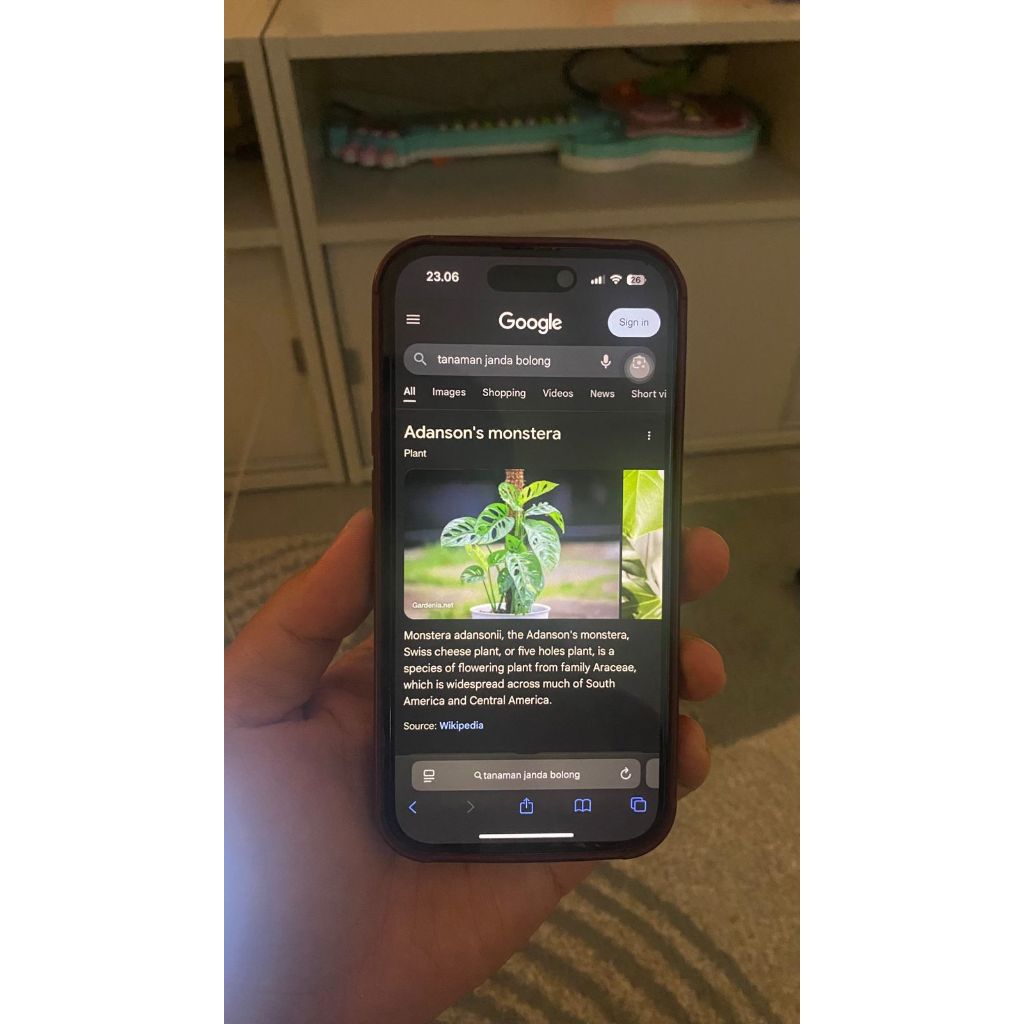 iphone 11 64gb - purple