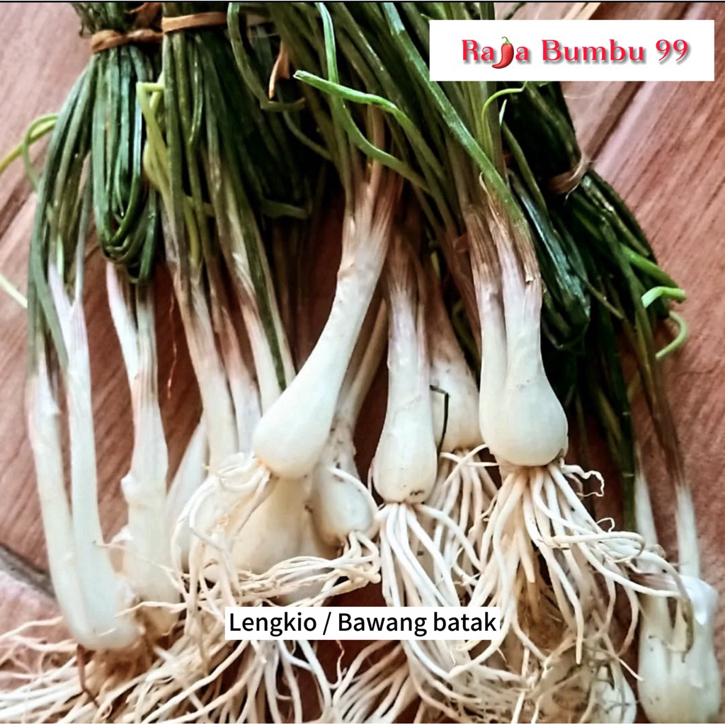 

LENGKIO / BAWANG BOTAK 1 ikat