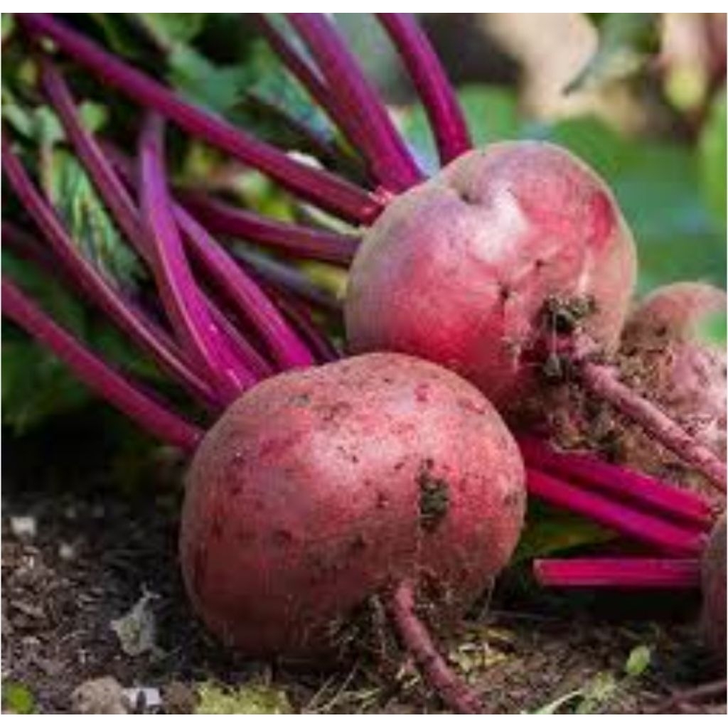 

beet root 500g