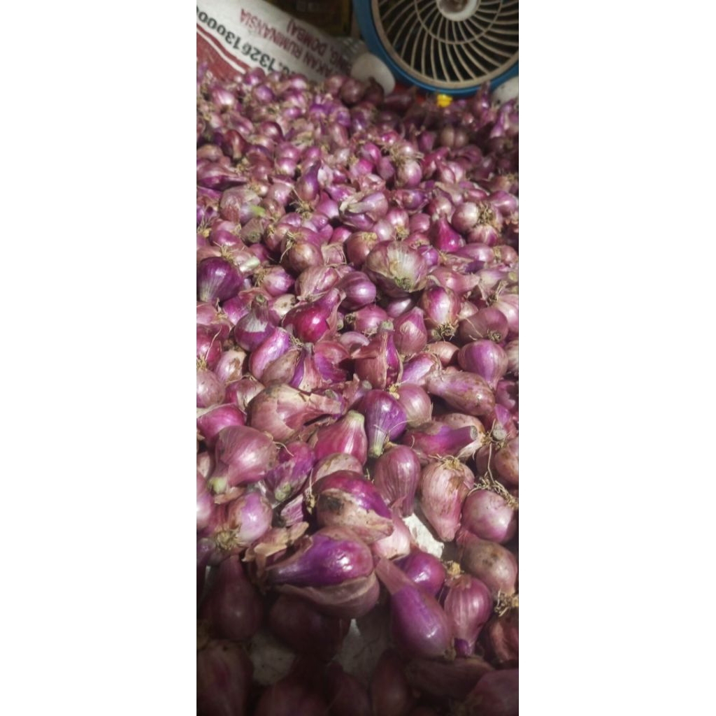 

Bawang merah 1 kg Murah