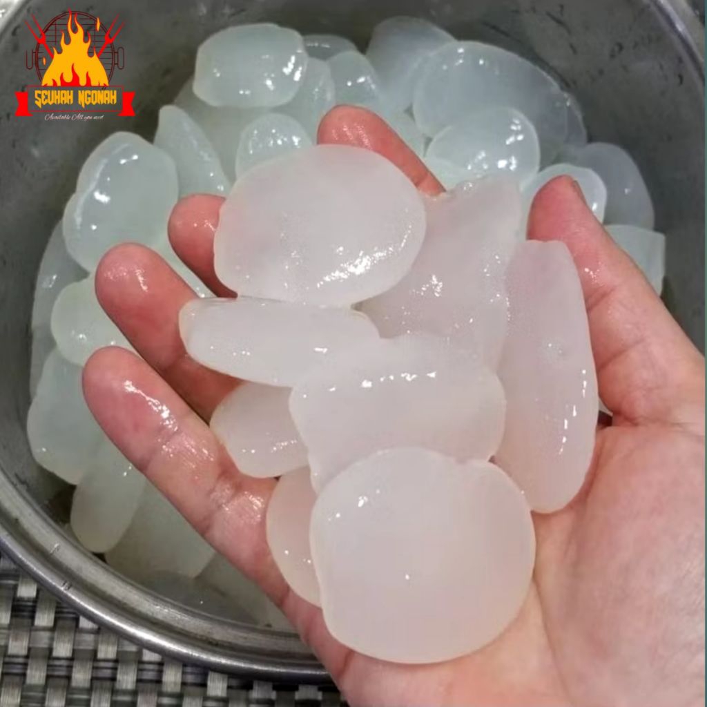 

Kolang kaling segar 1kg asli kenyal tanpa bahan campuran pengawet