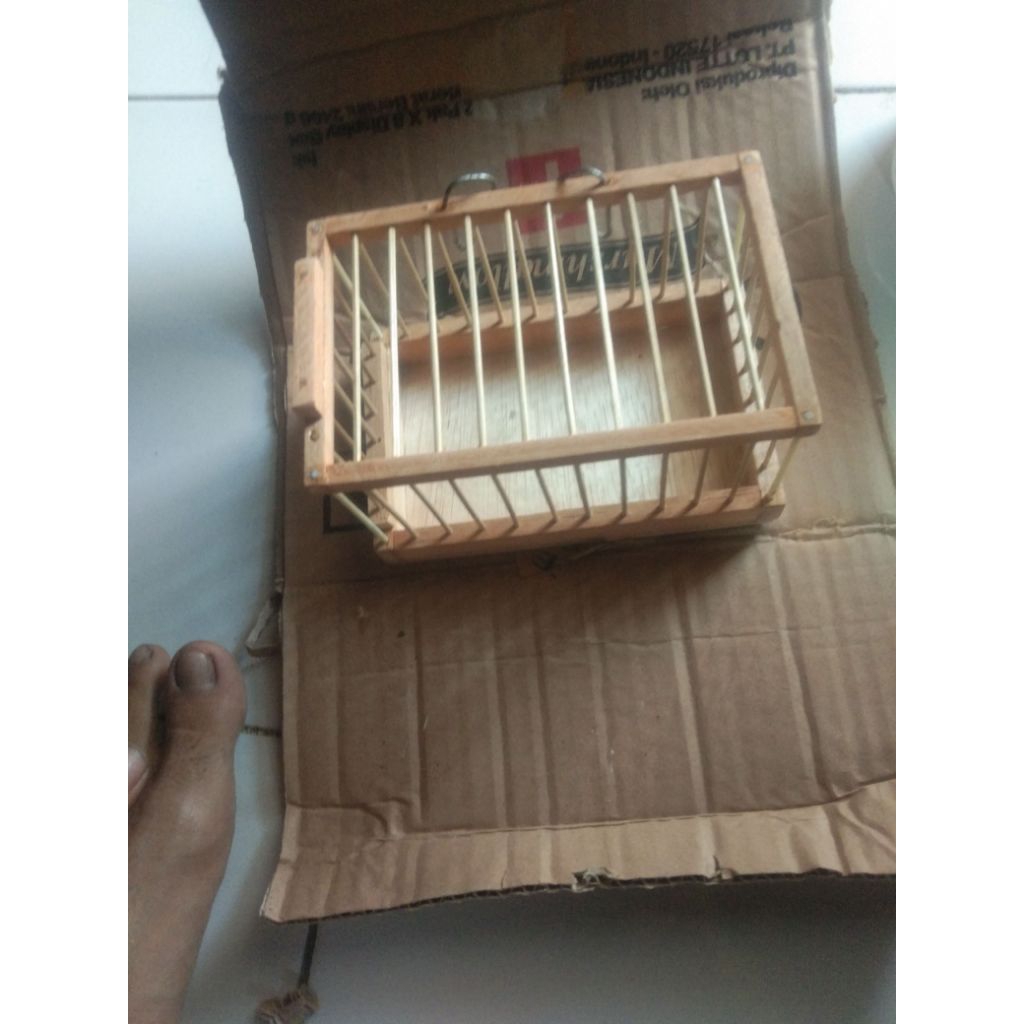 Sangkar untul sogon/konin mentahan.