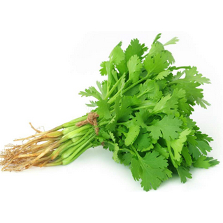 

Daun Ketumba Per 100 gram l Per Ons | JBP_Fresh
