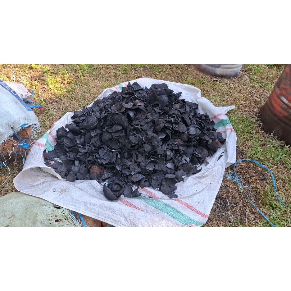 Arang Tempurung Kelapa