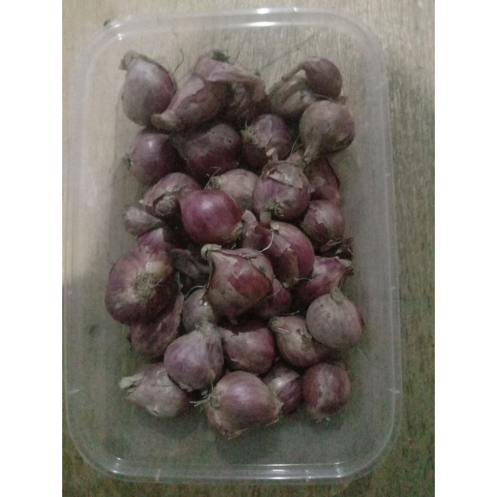 

bawang merah