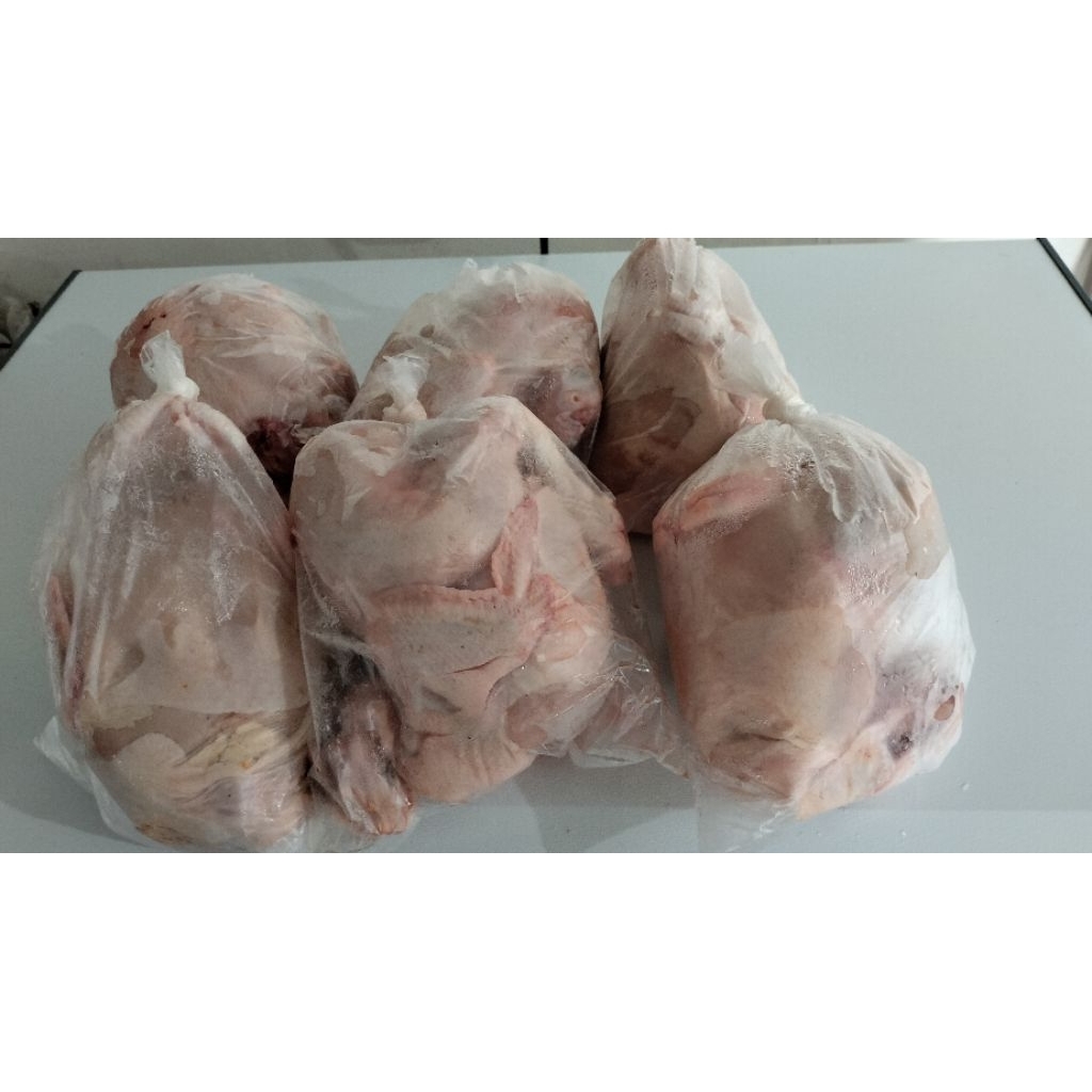 

ayam utuh 1 kg