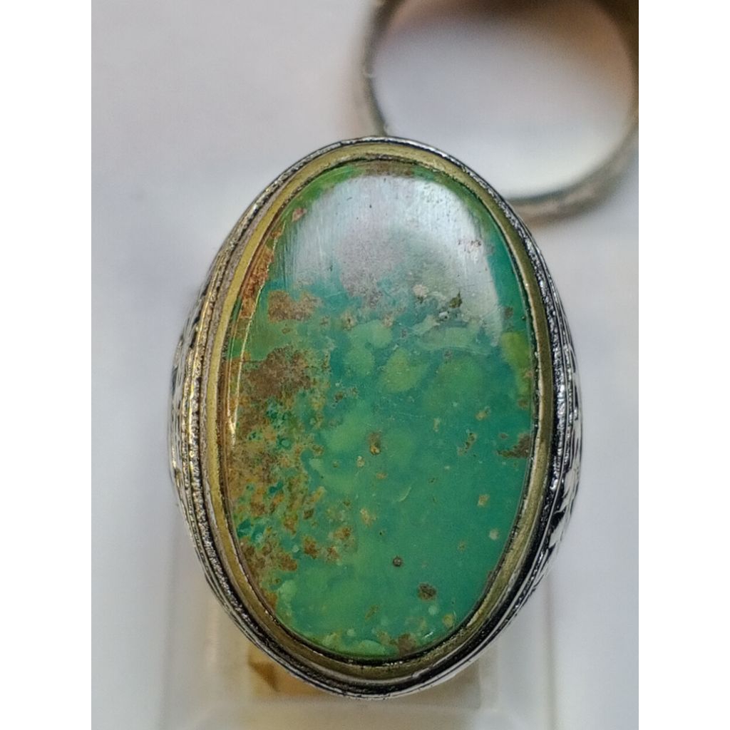 Pirus Persia hijau gradasi