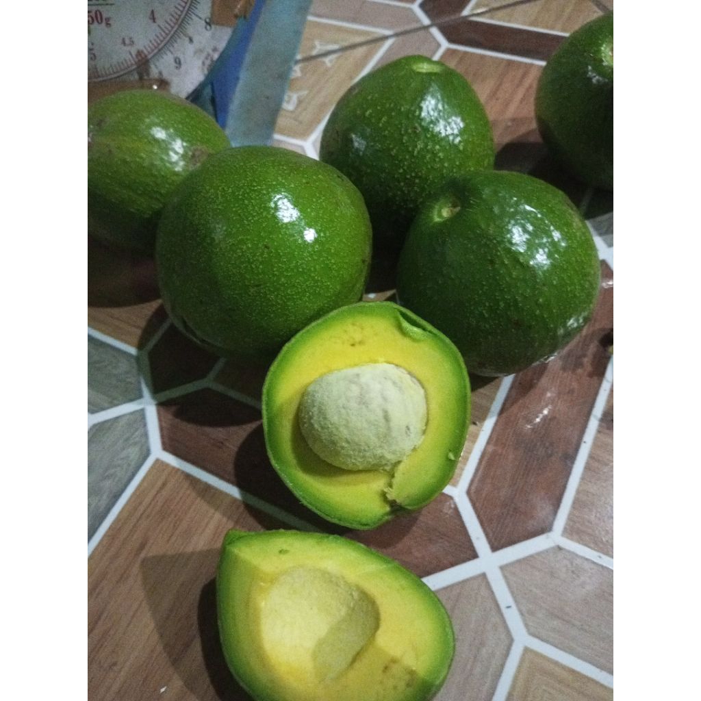 

buah alpukat mentega super premium harga per1 kg