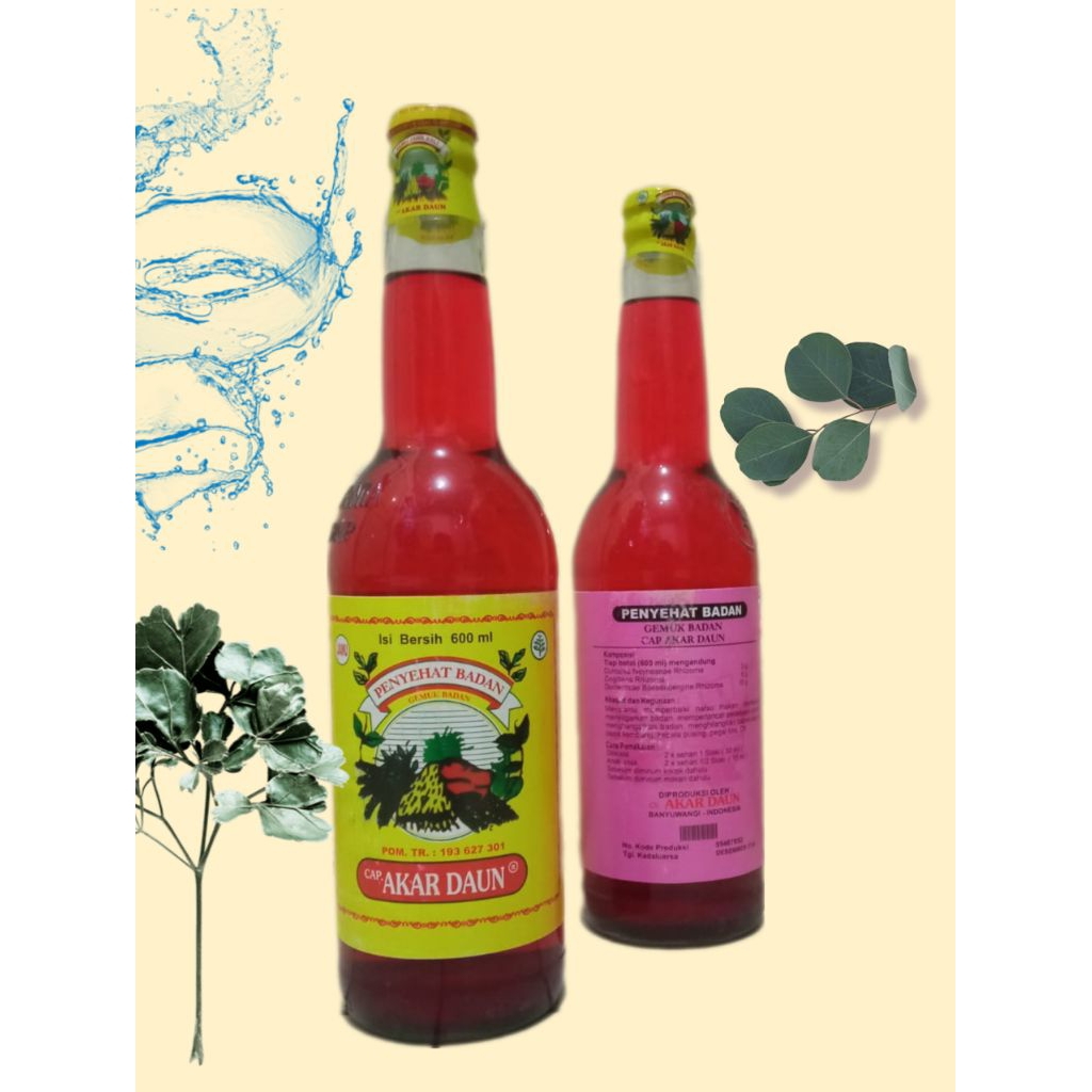 

Jamu Penyehat Badan Akar Daun