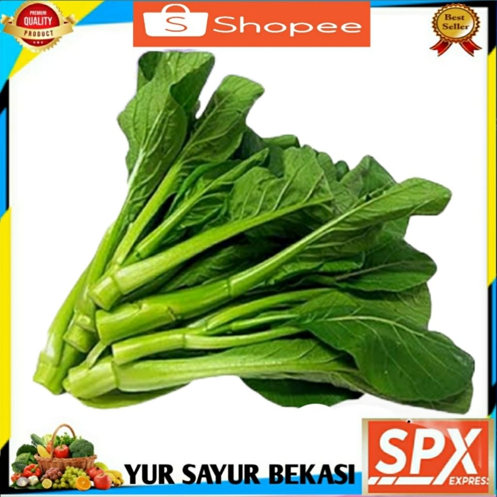 

Kailan Segar ( 1 ikat).