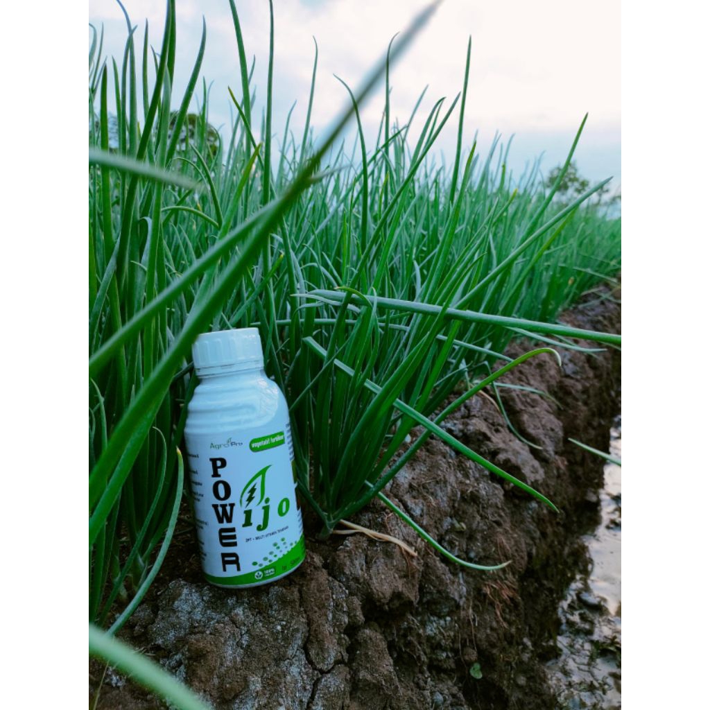 POWER IJO 500ML | MULTIVITAMIN TANAMAN | PENYUBUR | NUTRISI