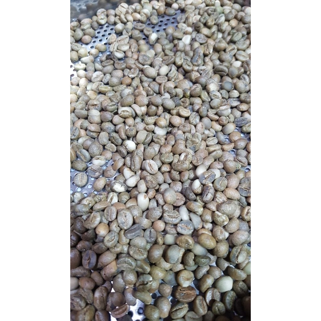 

Green Bean Robusta Petik Merah 1kg