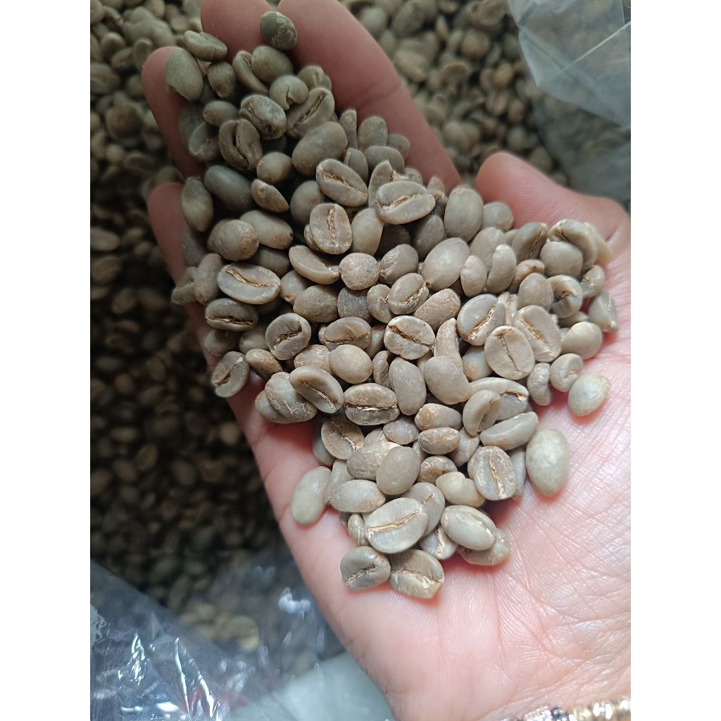 

Arabika Ijen fullwash harvest '25