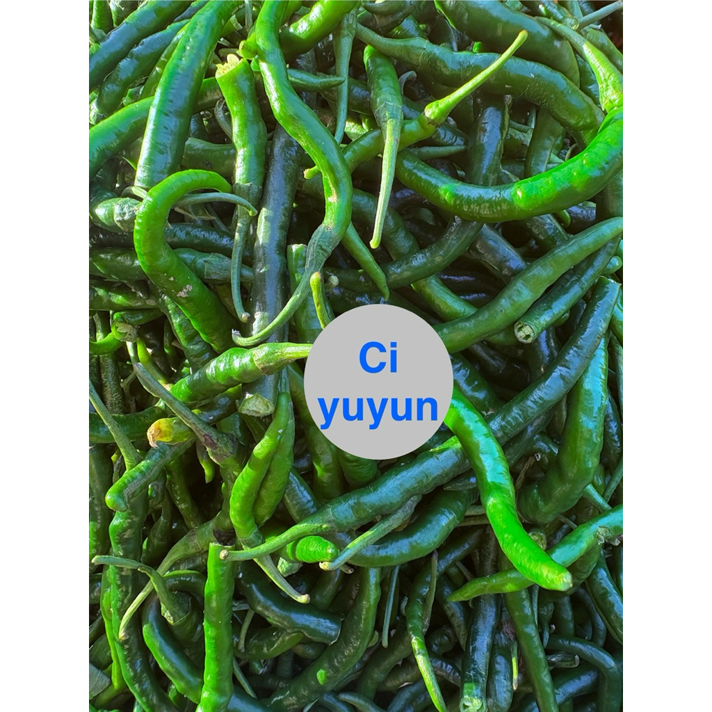 

Cabe hijau panjang,Cabe cengek ijo,Cabe ijo,Cabe ijo keriting,Cabe hijau keriting