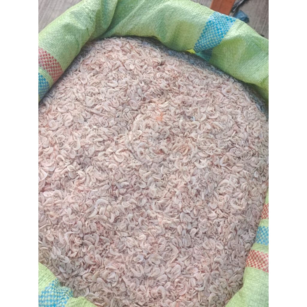 

Udang Kecepe Asli Medan Udang Rebon 1 Kg