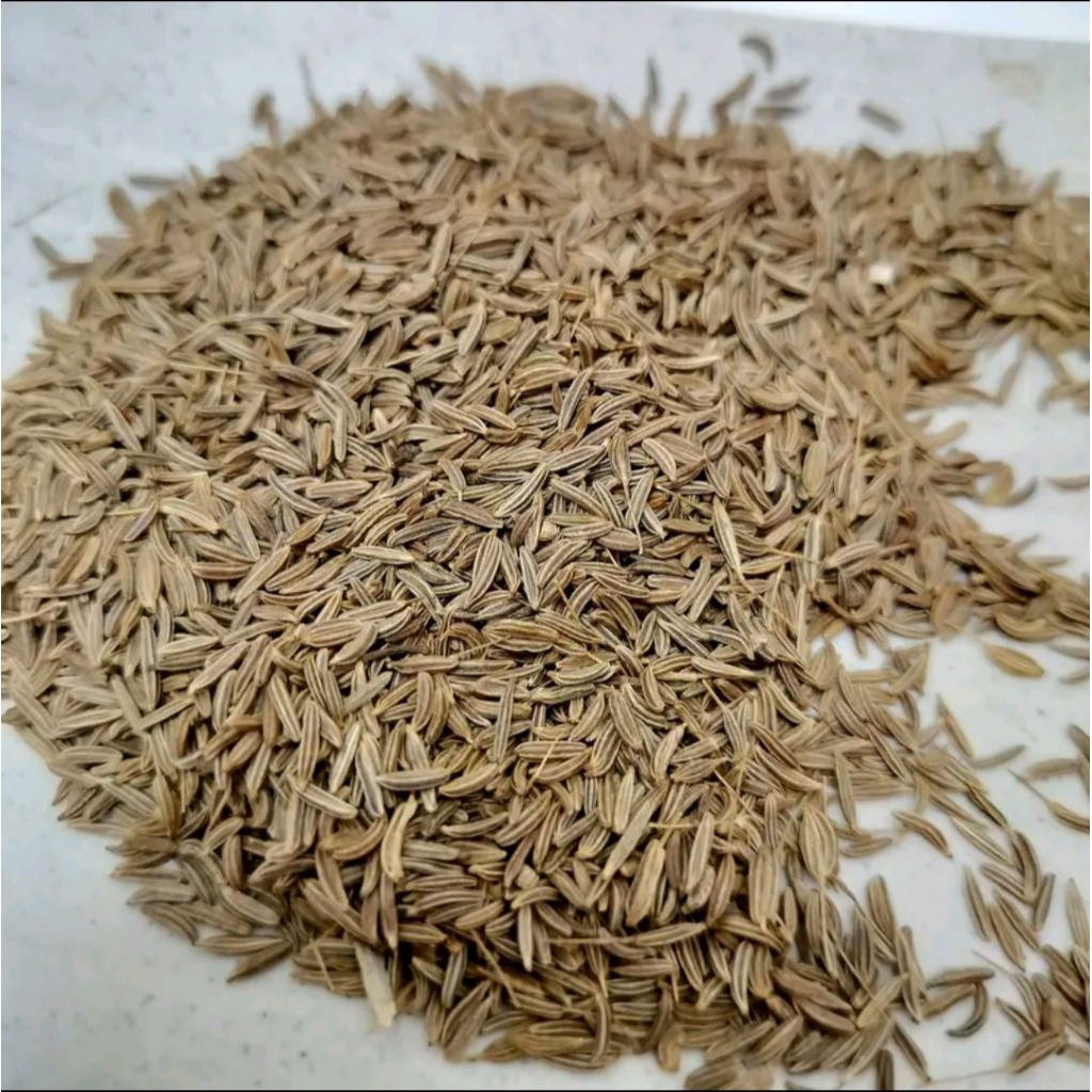 

JINTEN REMPAH BUMBU DAPUR