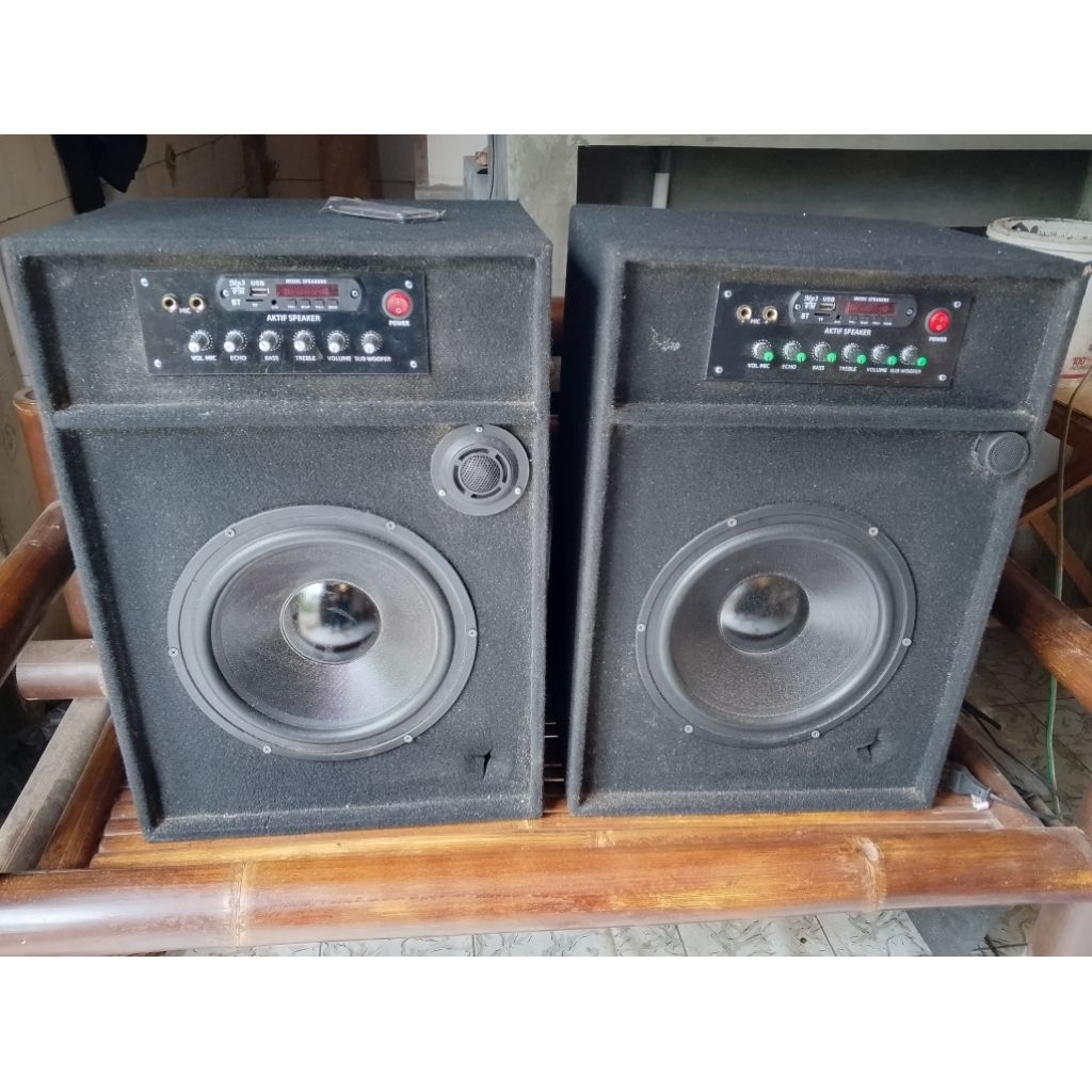 speaker aktif 10inch subwoofer plus echo karaoke