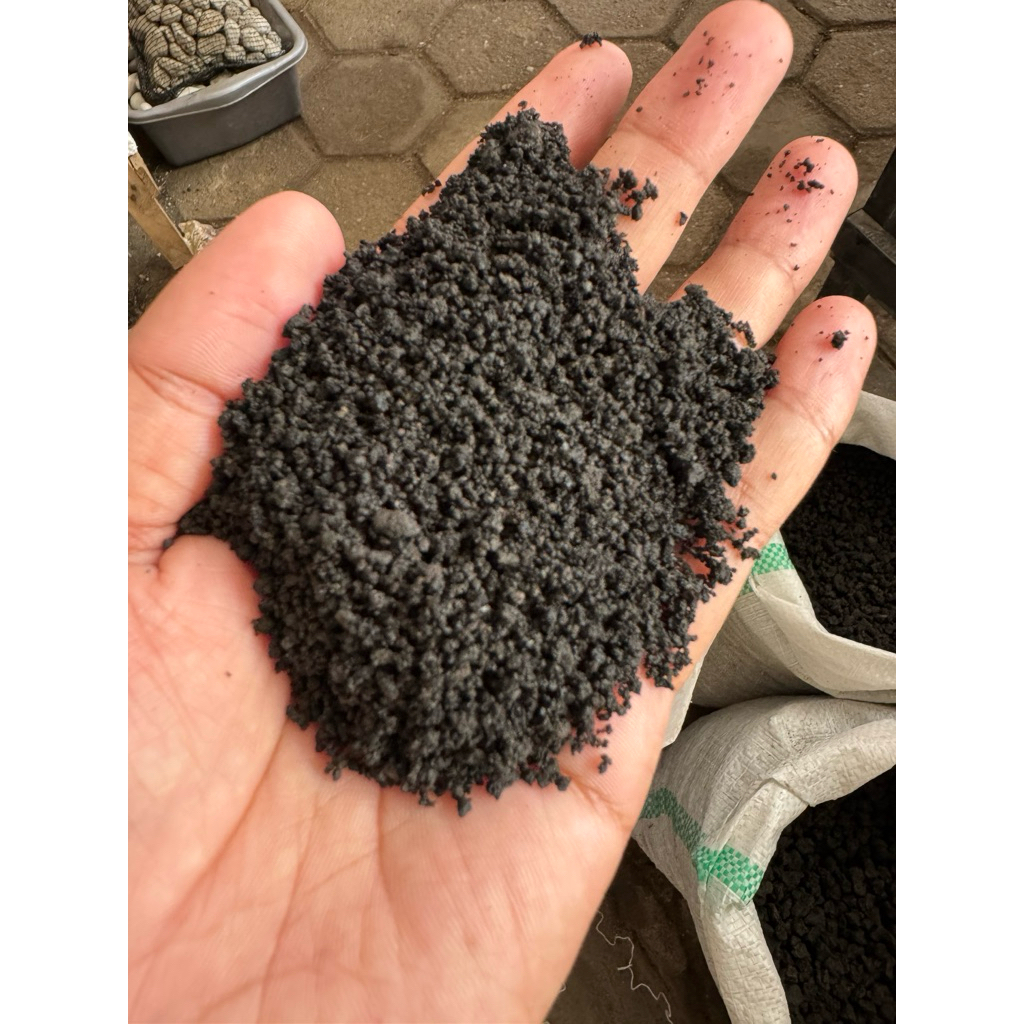 pasir malang hitam no.1