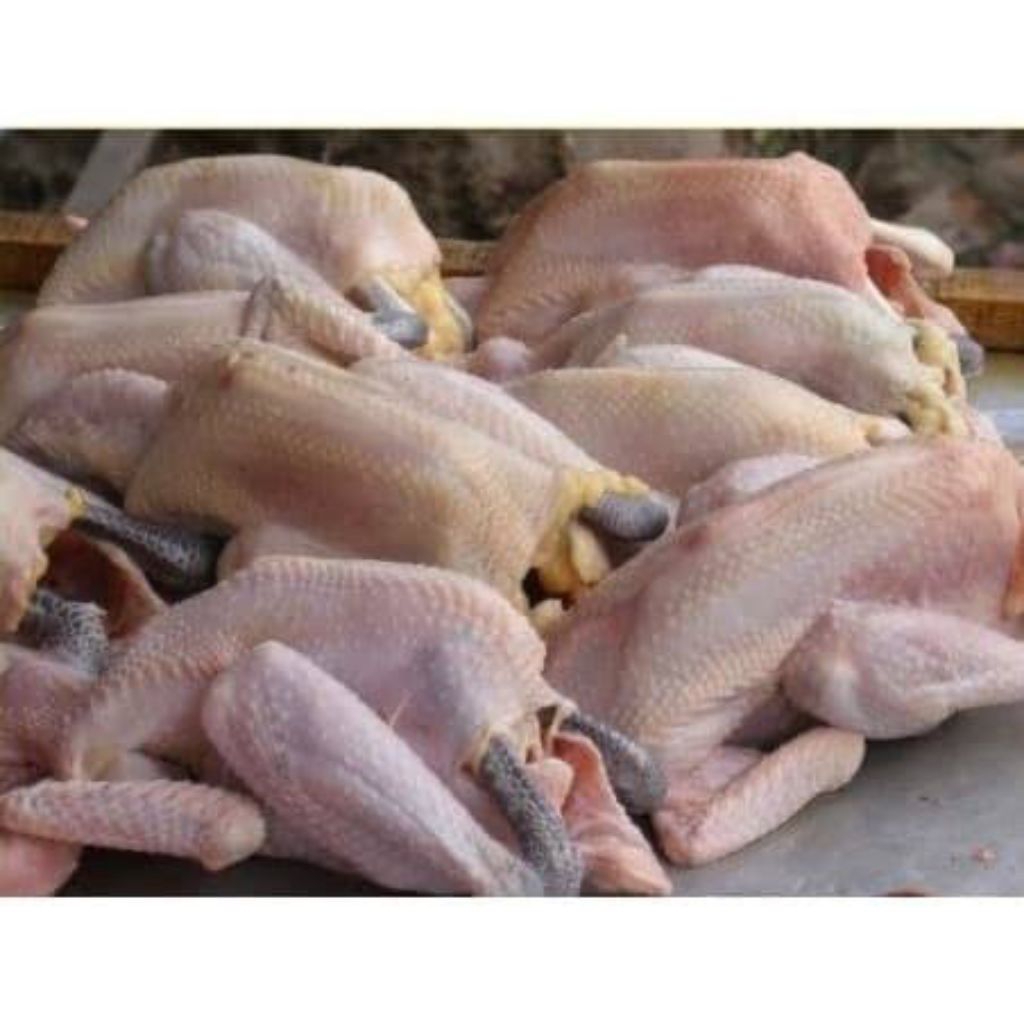

Ayam Kampung Fresh 1 kg (Daging Segar)
