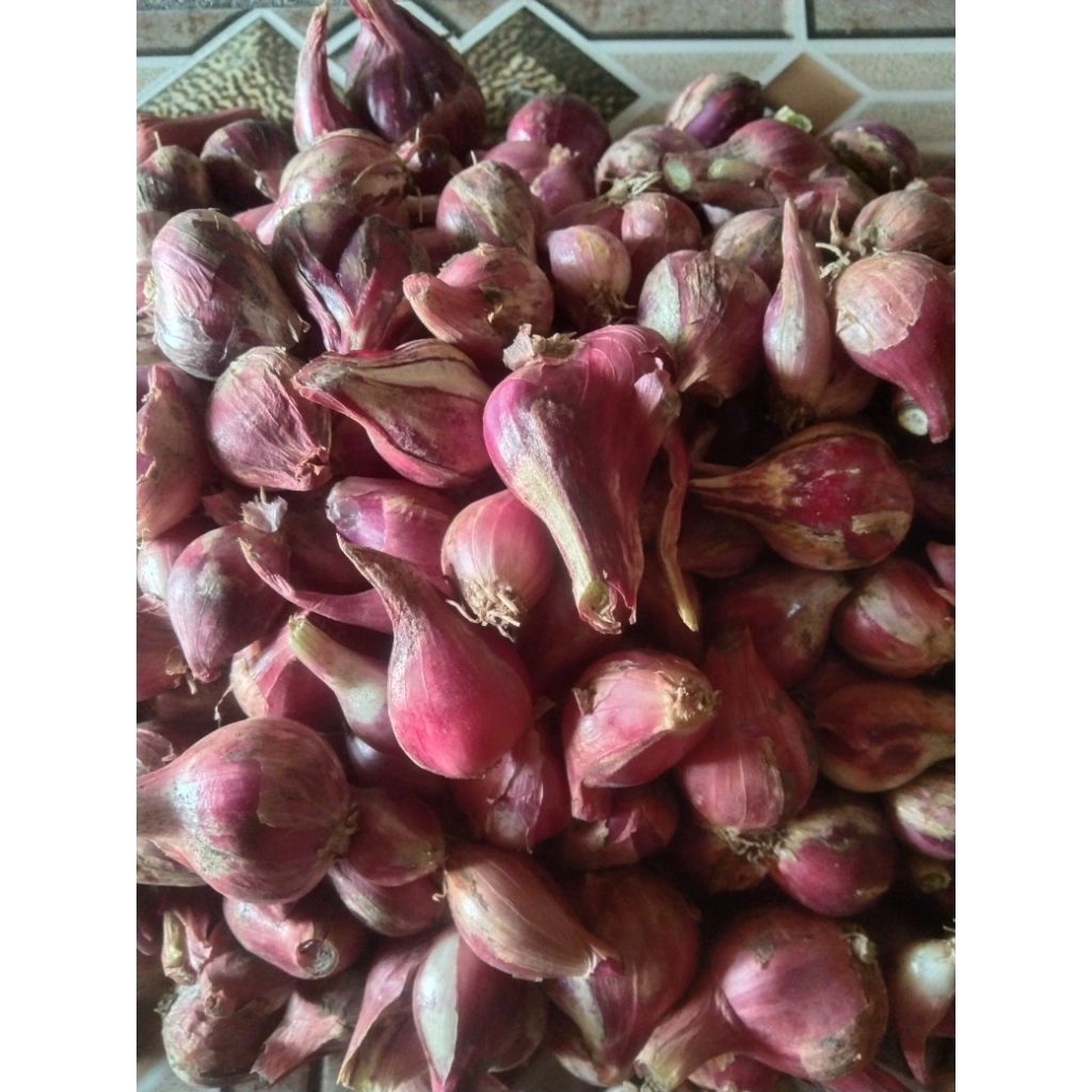 

bawang merah