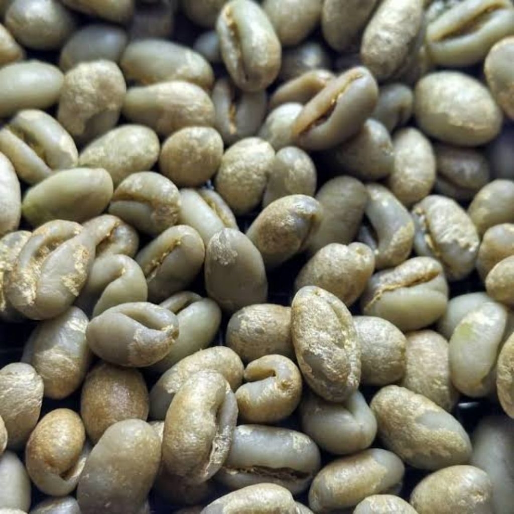 

500 gram kopi Lanang/peaberry greenbean manual sortir, asli Temanggung