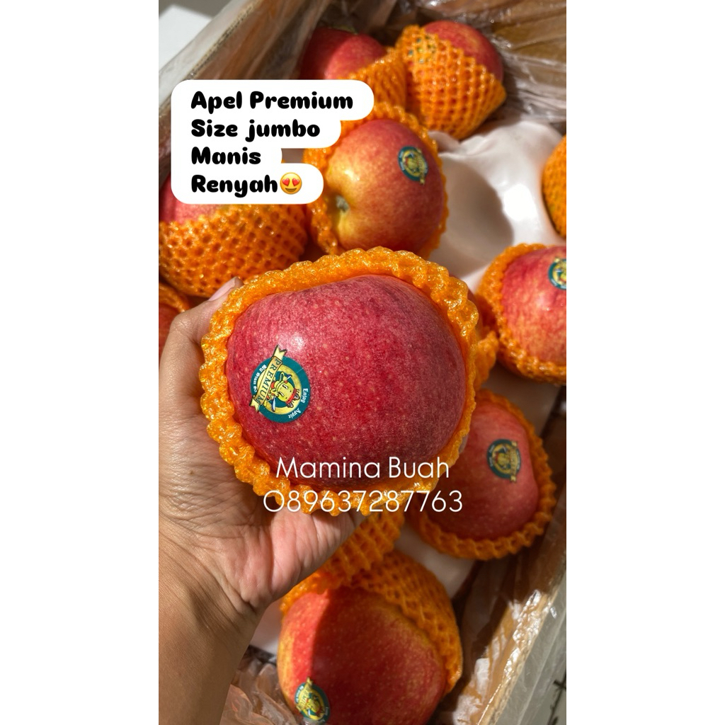

Apel Fuji Premium Jumbo