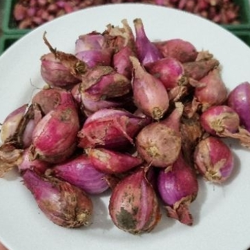 

Bawang Brebes Asli Grade Super Bogor 1kg