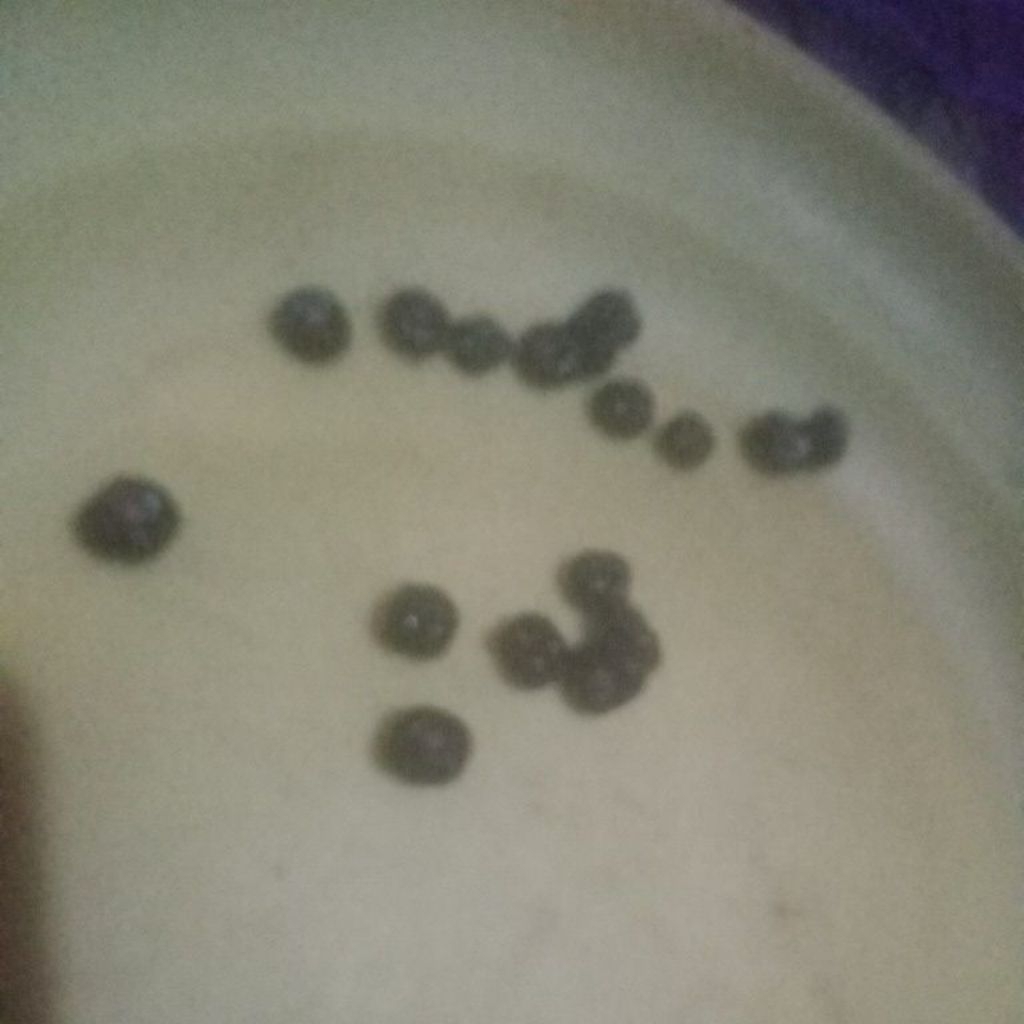 

herbal buah angkung binahong merah isi 50 seed.