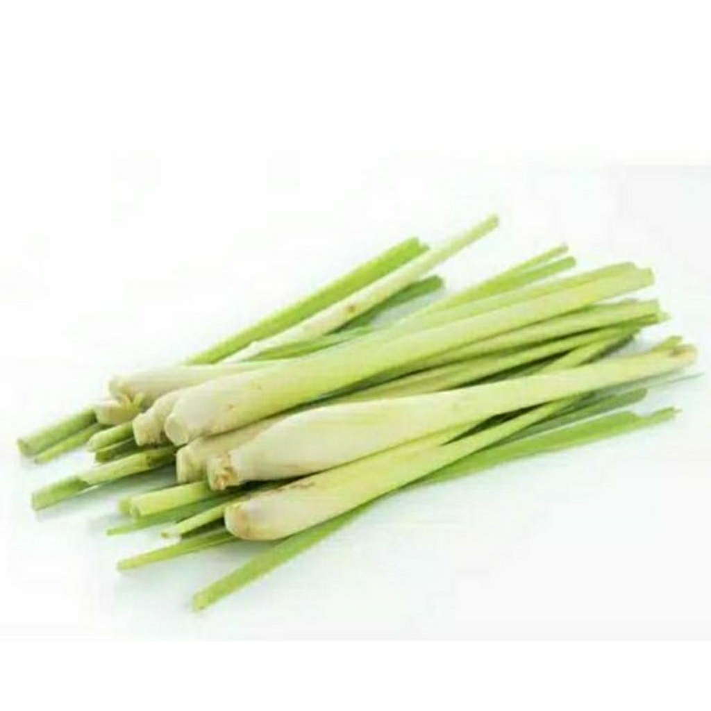 

Serai Dapur Segar kaya manfaat