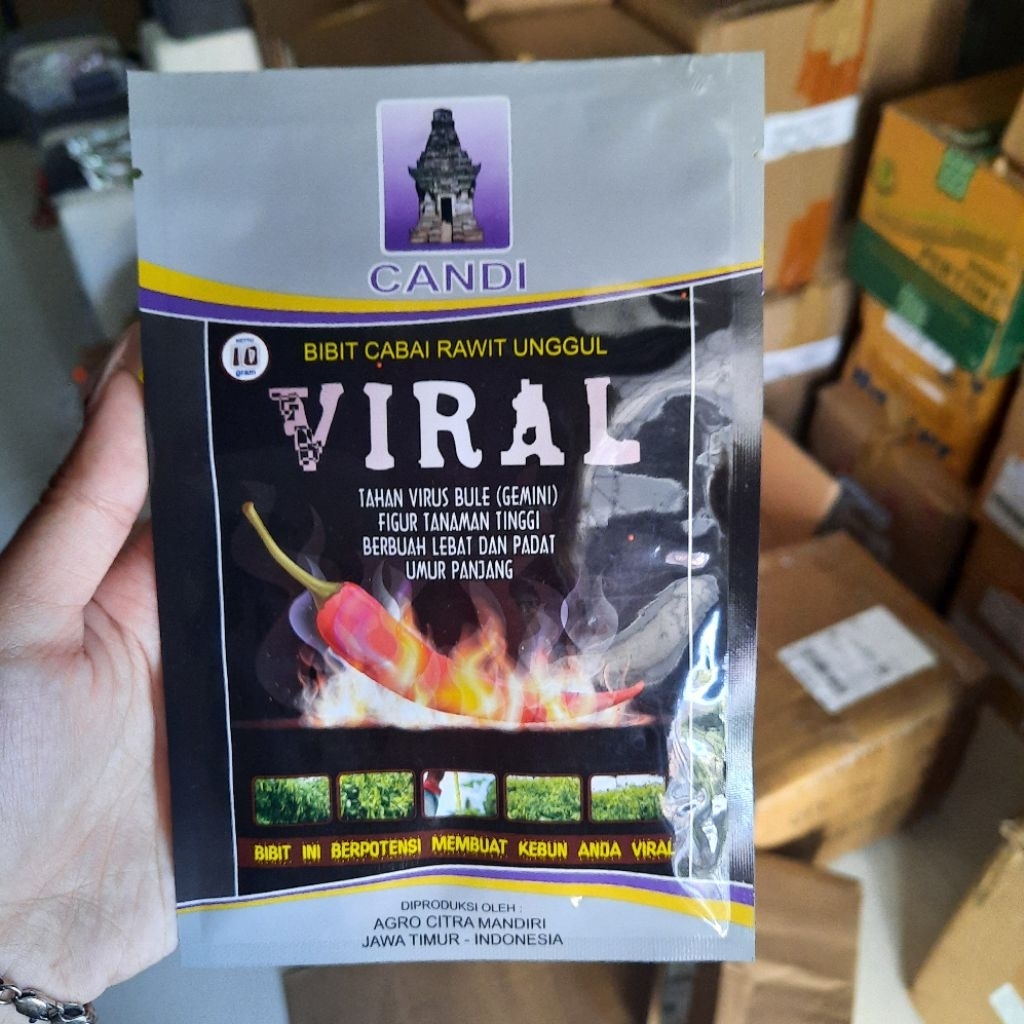 Benih cabe VIRAL 10 gram cabe rawit viral 10gr cap candi tahan penyakit cabe setan super pedas