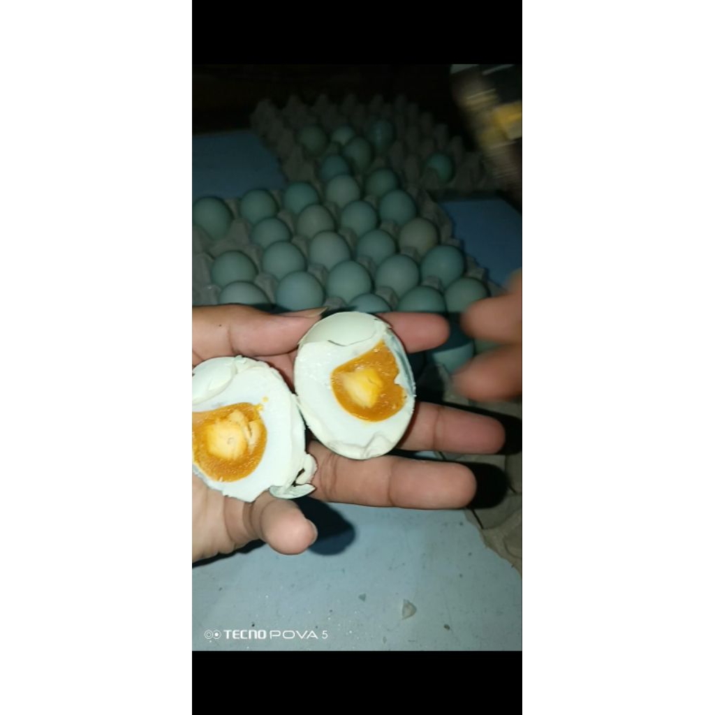 

TELUR ASIN FRESH TELUR ASIN MURAH ENAK Ukuran BK / Sedang (Bukan Paling Kecil) 1 KOTAK ISI 10 Butir