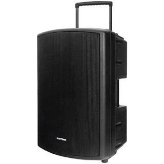 SPEAKER POLYTRON 8 INCH - PAS PRO 8F3