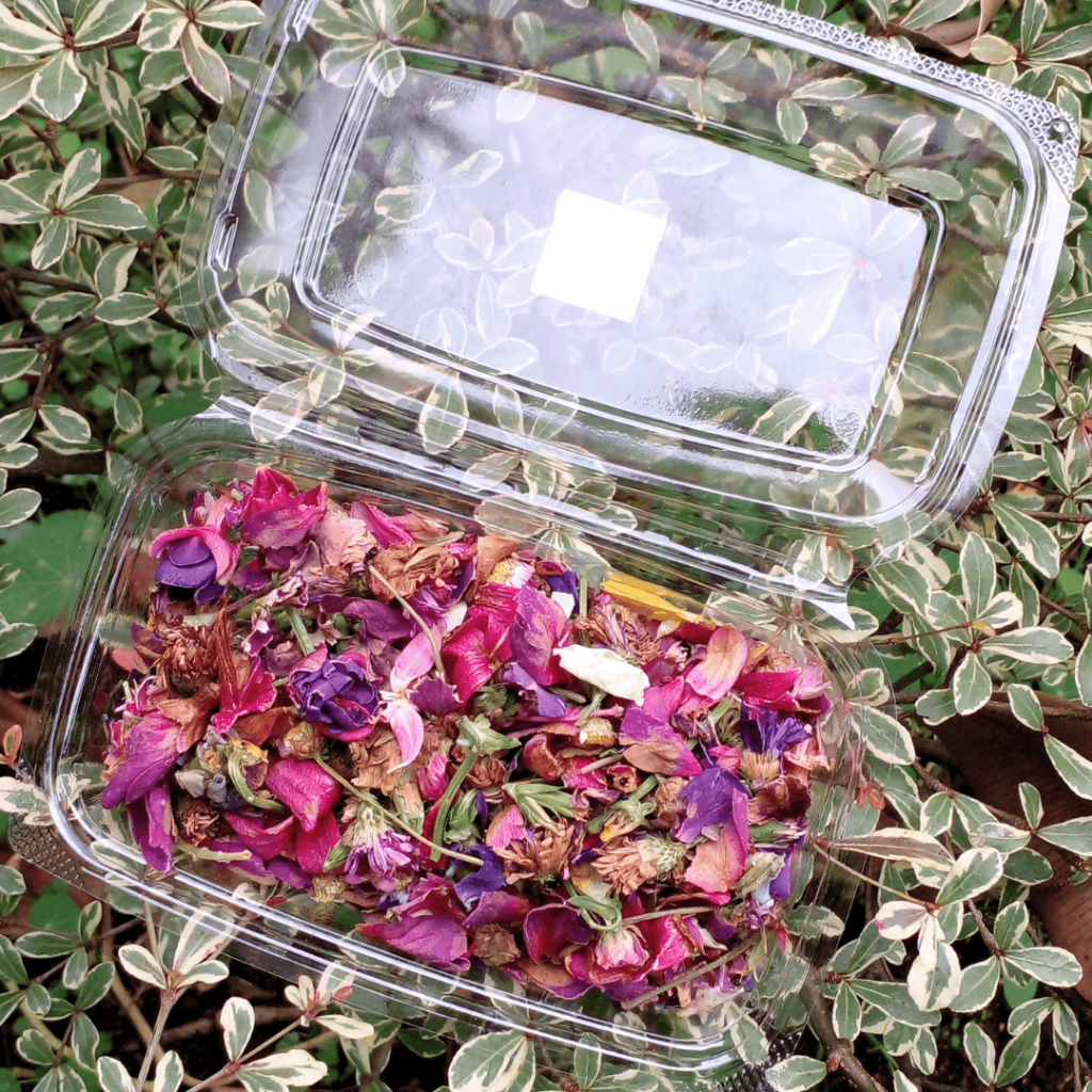 

ANTI LAYU!Akar Wangi Dried Mix Edible Flower-Kirim AMAN SE-INDONESIA!Garnish Makanan Garnish Minuman