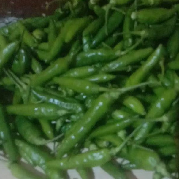 

cabe rawit hijau segar kemasan 250gr