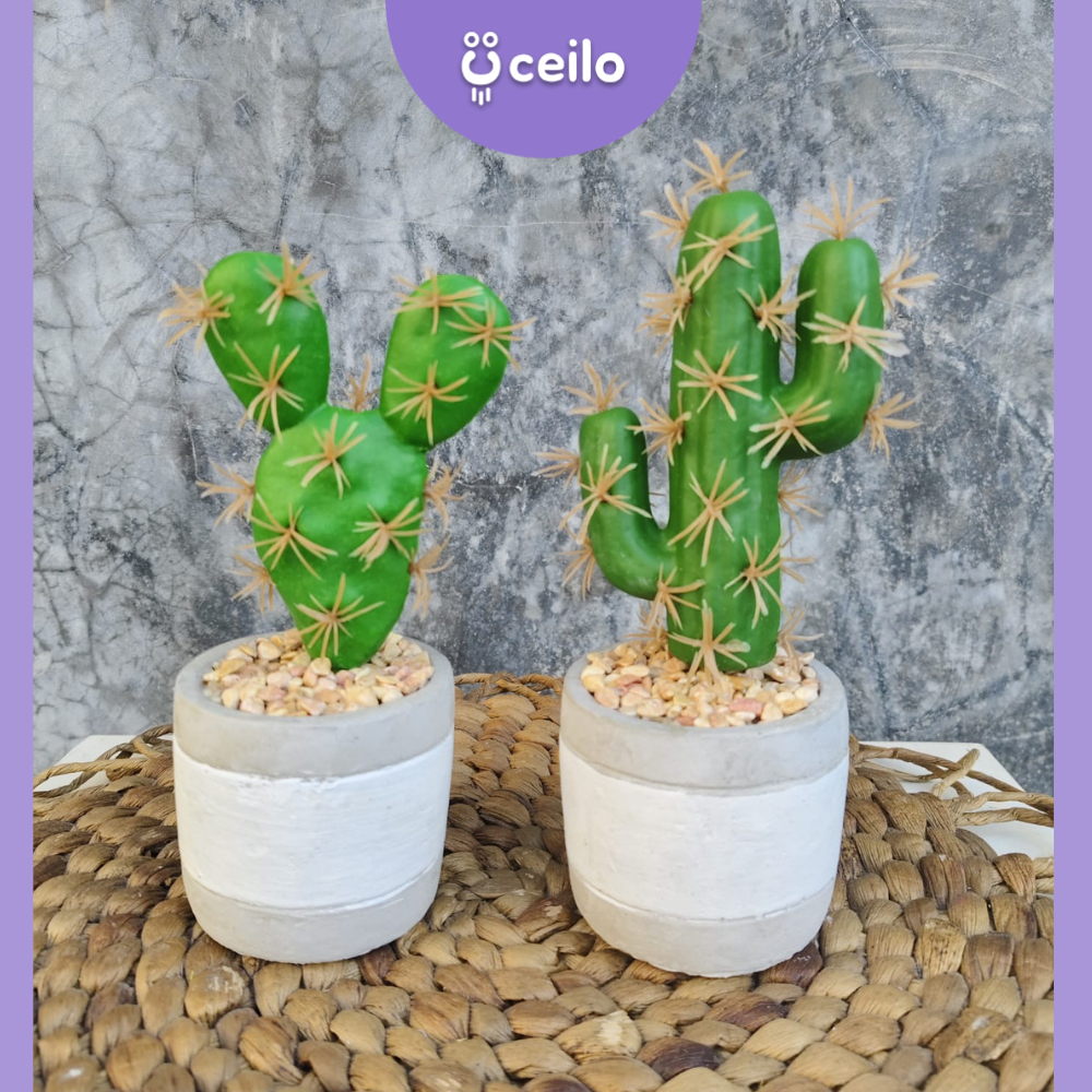 CEILO Kaktus Palsu | Kaktus Hias Plastik | Kaktus Plastik | Bunga Hias | Dekorasi Aesthetic | Hiasan