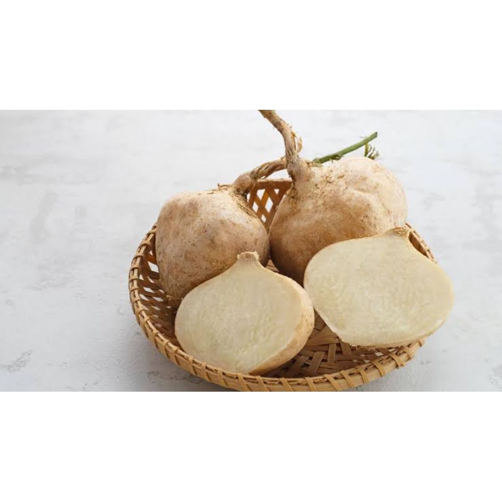 

Bengkoang / Bengkuang 1 kg (Buah Segar)