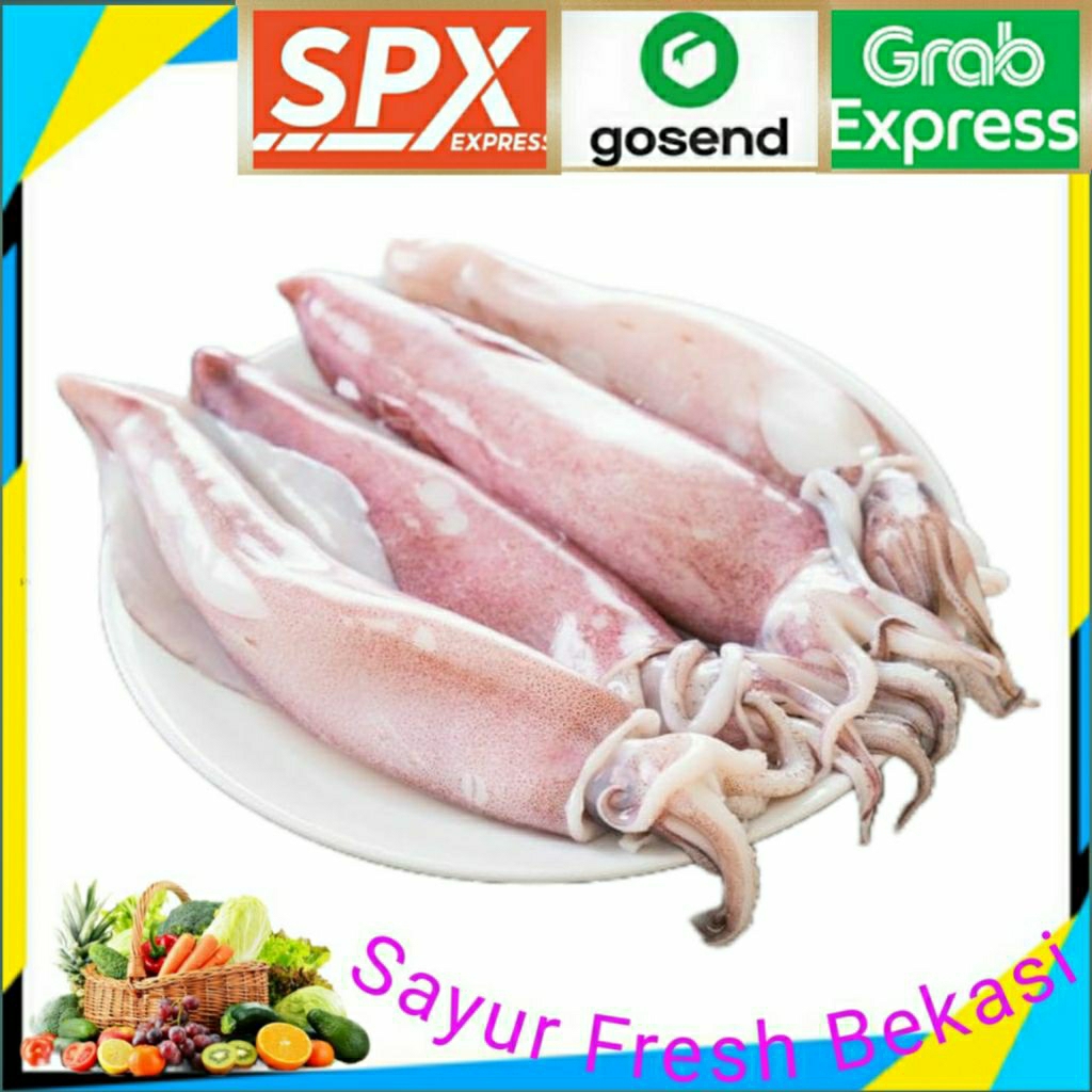 

Cumi Basah Ukuran Sedang 500gr.