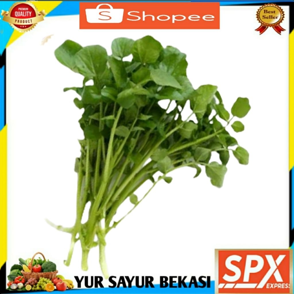 

Selada Air ( 2 ikat).