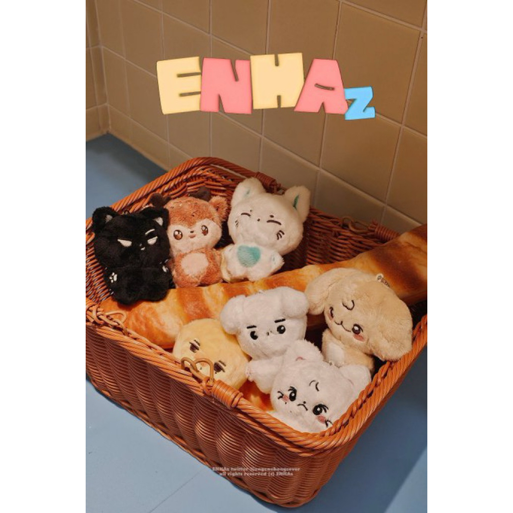 ENHYPEN SUNOO DOLL 10cm by engenebongcover