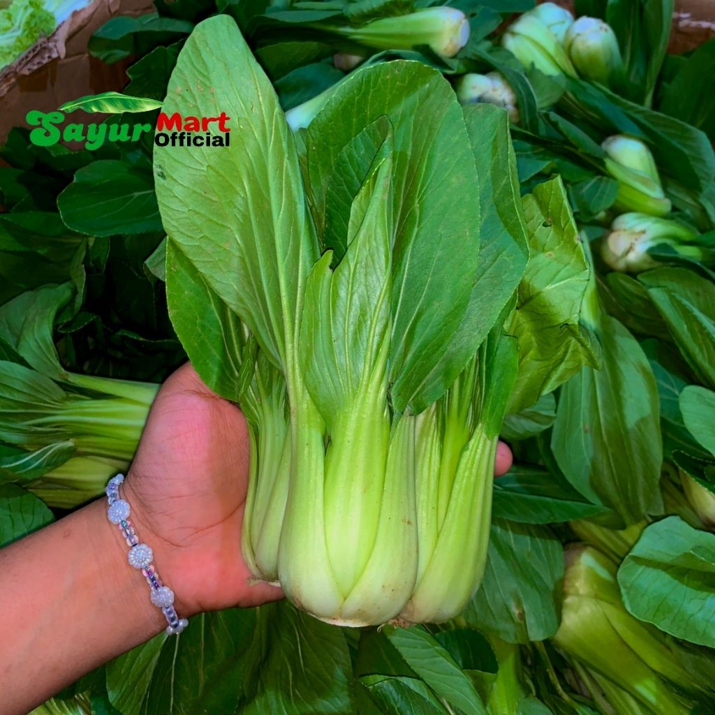 

Pokcoy /Pakcoy 250gr INSTAN