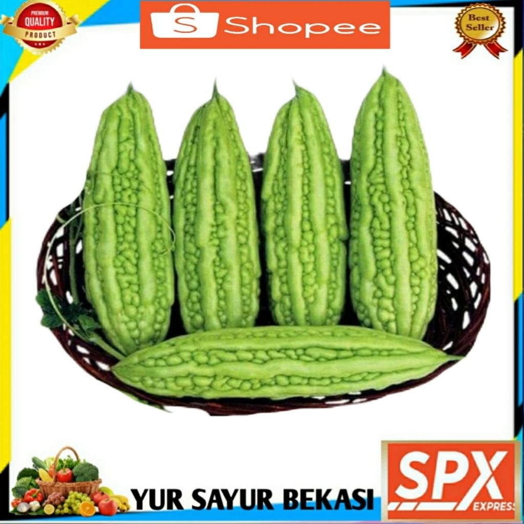 

Pare Hijau Fresh 500gr.