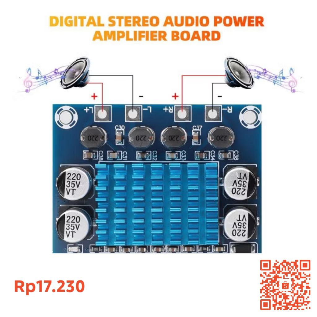 TPA3110D2 Class D Audio Amplifier Original