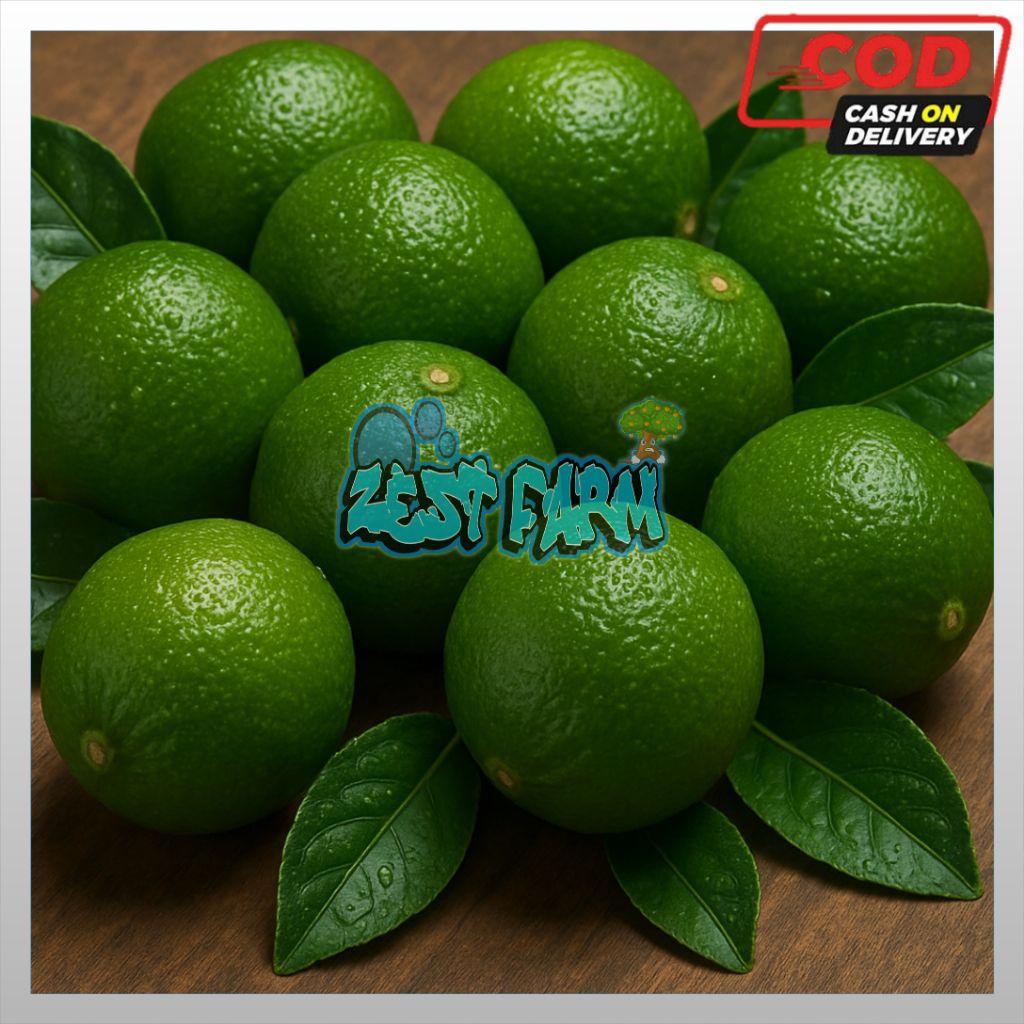 

JERUK LIMAU 500 Gram /JERUK LIMO/JERUK SAMBAL/JERUK LIMAU SEGAR 500 GRAM/JERUK LIMAU FRESH PETIK DARI KEBUN/JERUK SAMBAL FRESH/JERUK LIMO FRESH