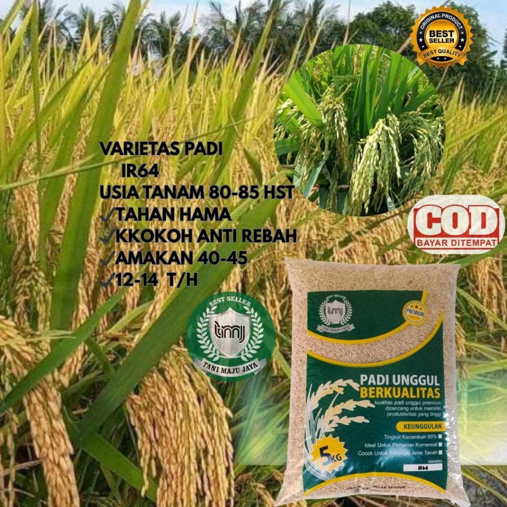 BIBIT PADI BENIH PADI UNGGUL VARIETAS IR64 KEMASAN 5 KG