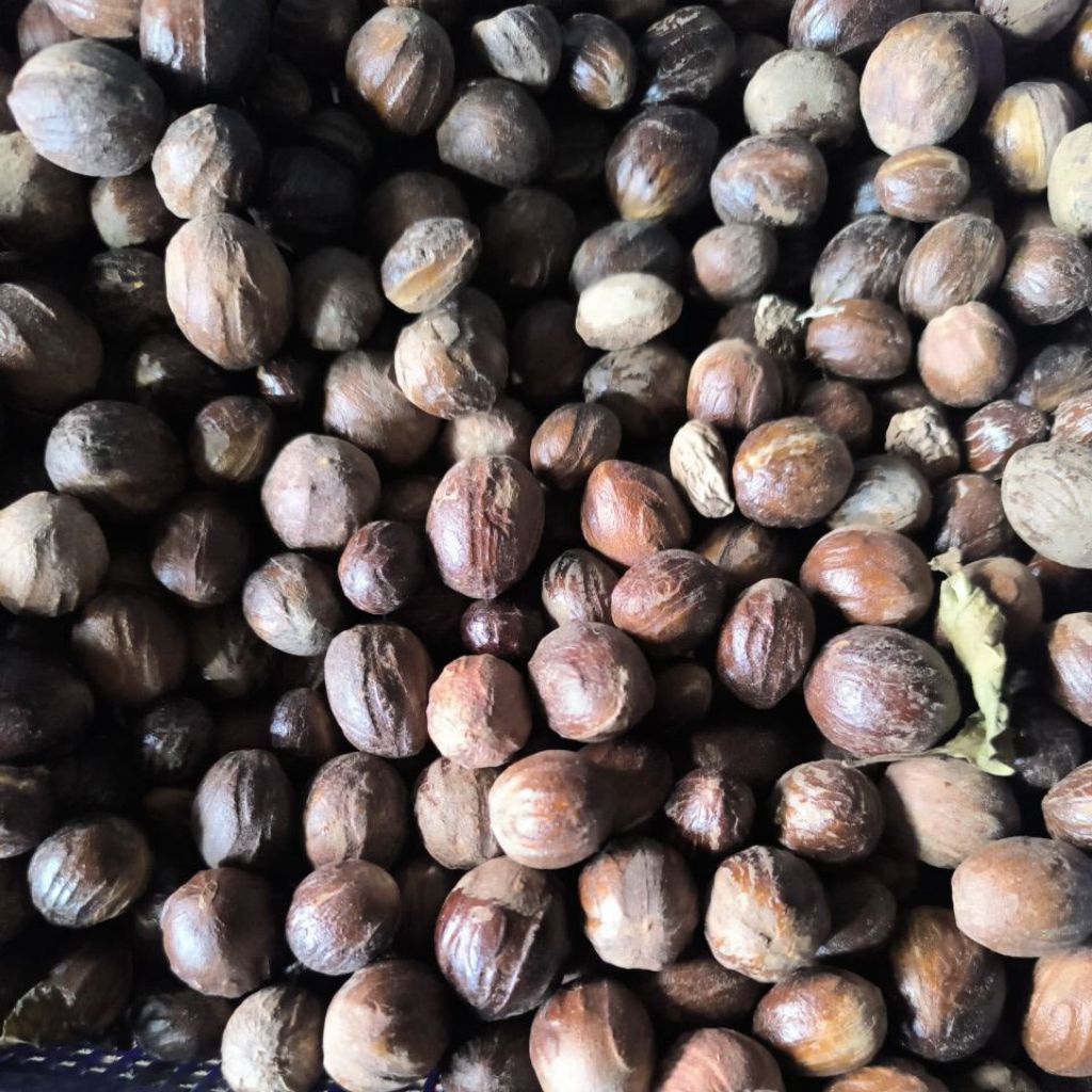 

Buah Pala Bulat 100gr