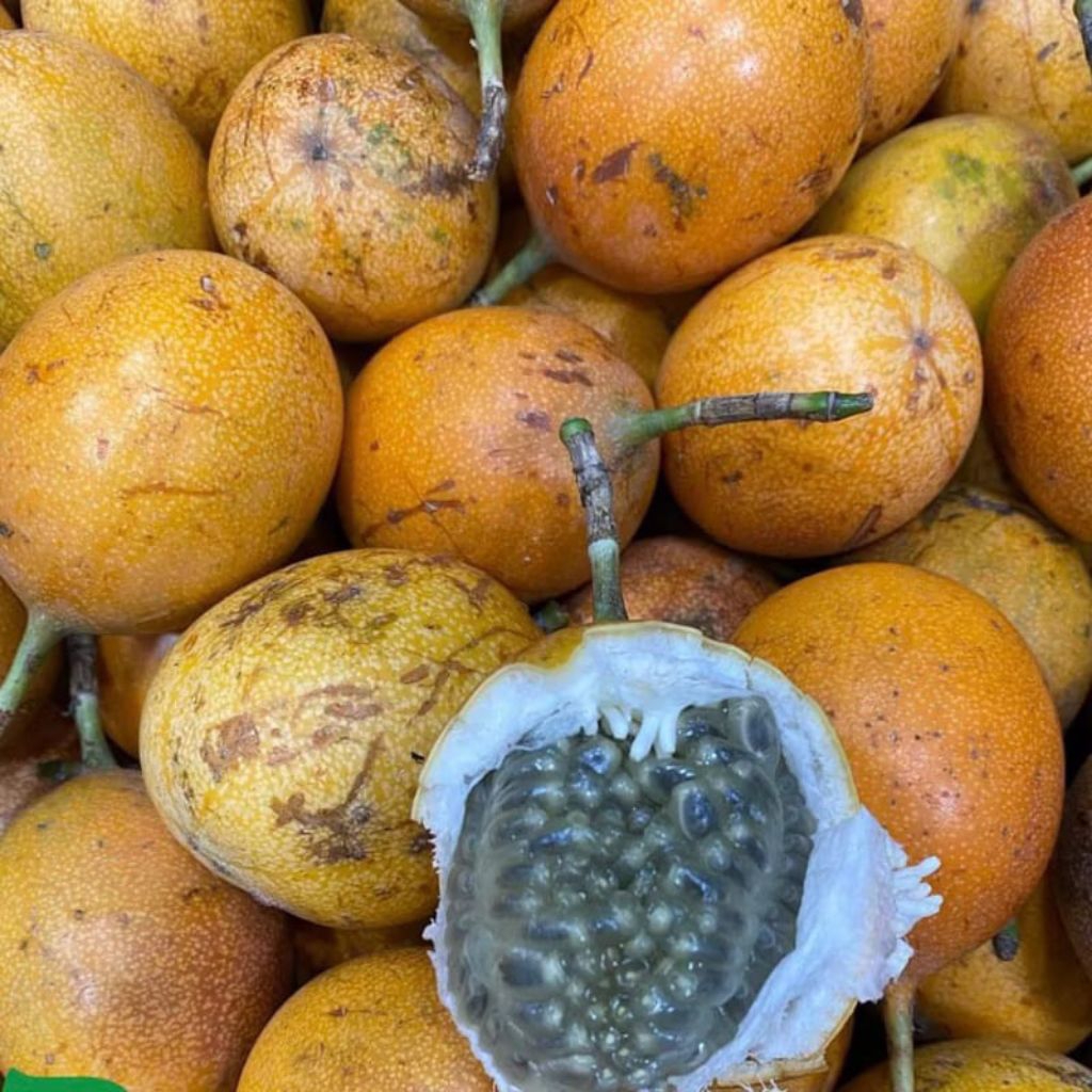 

Jual Markisa Manis / Konyal Madu Segar dan Fressss isi 1 kilo