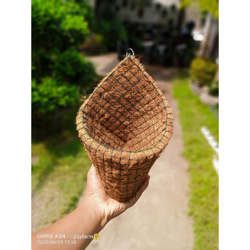 Pot Anggrek/Pot kerucut/Media Tanam Anggrek/ Pot tempel